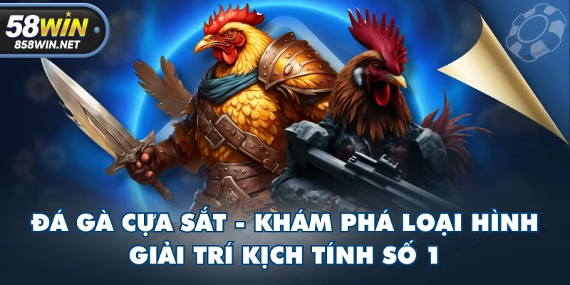 Đá Gà Cựa Sắt - Khám Phá Loại Hình Giải Trí Kịch Tính Số 1