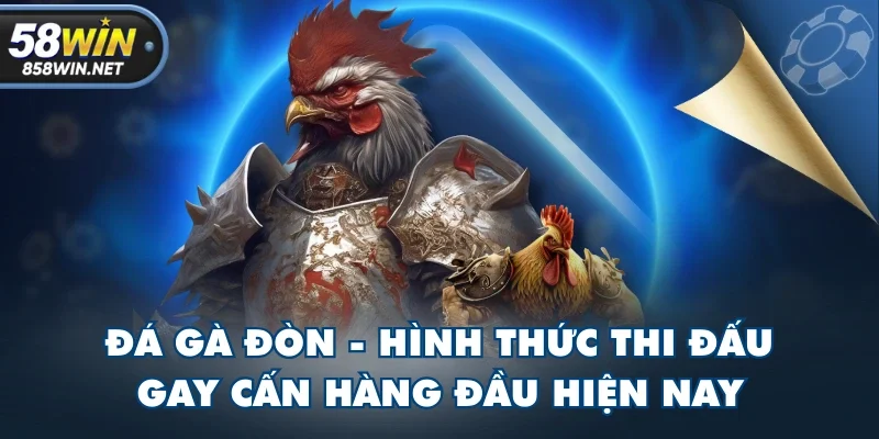 Đá Gà Đòn - Hình Thức Thi Đấu Gay Cấn Hàng Đầu Hiện Nay