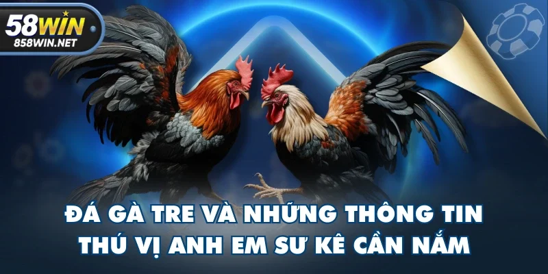 Đá Gà Tre Và Những Thông Tin Thú Vị Anh Em Sư Kê Cần Nắm