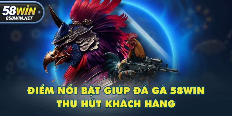 Điểm nổi bật giúp đá gà 58WIN thu hút khách hàng Điểm nổi bật giúp đá gà 58WIN thu hút khách hàng