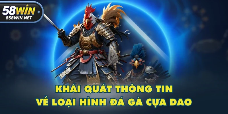 Khái quát thông tin về loại hình đá gà cựa dao Khái quát thông tin về loại hình đá gà cựa dao