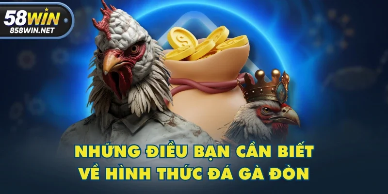 Những điều bạn cần biết về hình thức đá gà đòn Những điều bạn cần biết về hình thức đá gà đòn