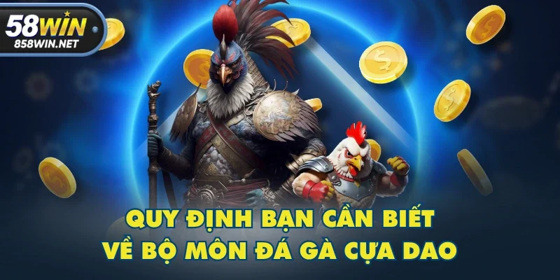 Quy định bạn cần biết về bộ môn đá gà cựa dao Quy định bạn cần biết về bộ môn đá gà cựa dao