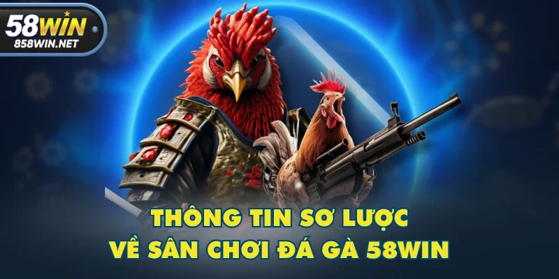 Thông tin sơ lược về sân chơi đá gà 58WIN Thông tin sơ lược về sân chơi đá gà 58WIN