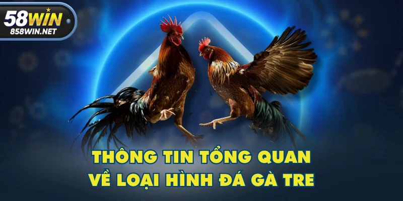 Thông tin tổng quan về loại hình đá gà tre Thông tin tổng quan về loại hình đá gà tre